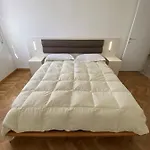 Zeffirino